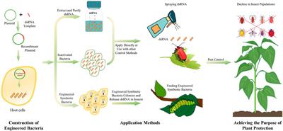 Advances in the Development of Microbial Double-Stranded RNA Production Systems for Application of RNA Interference in Agricultural Pest Control